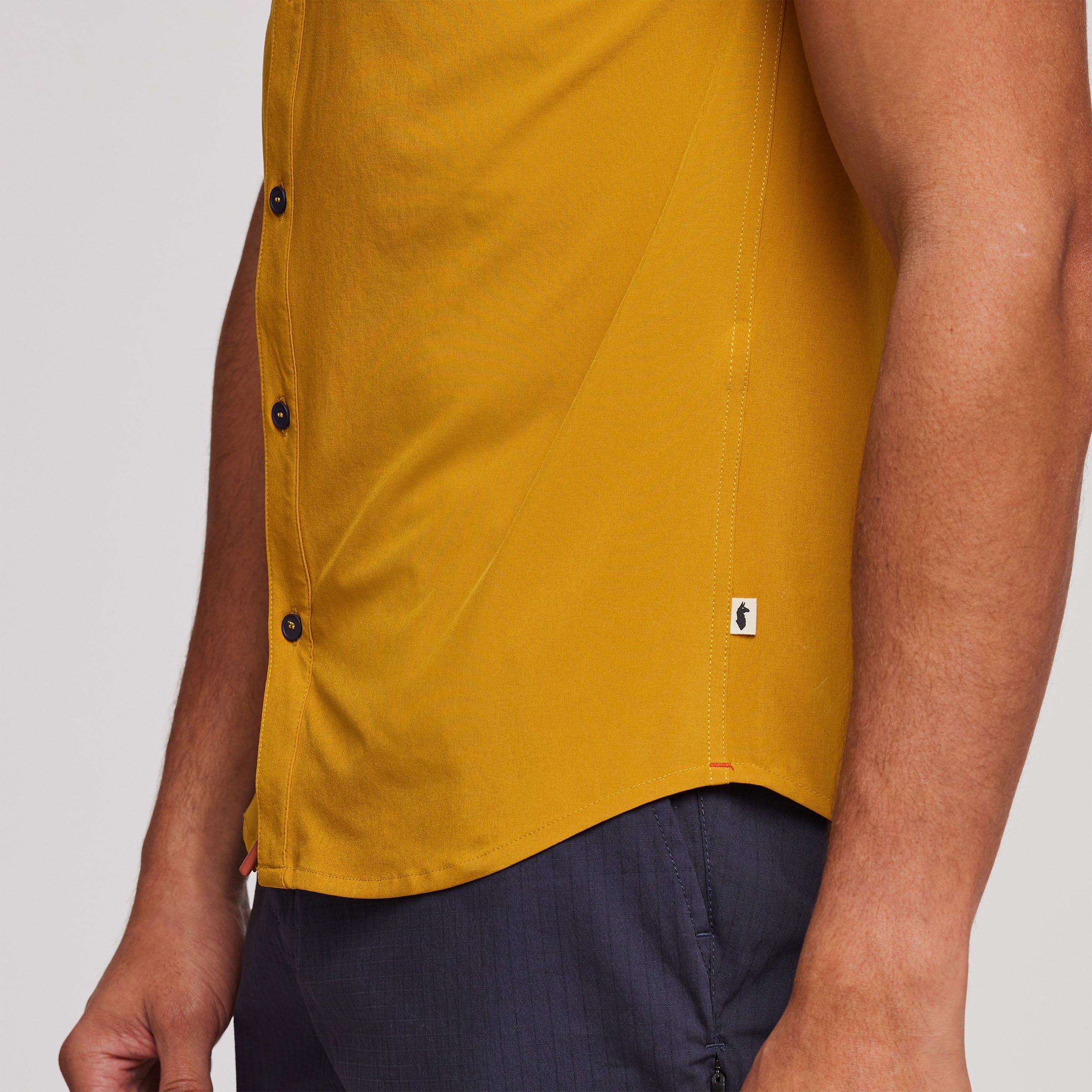 Cambio Button Up Solid - Image 10